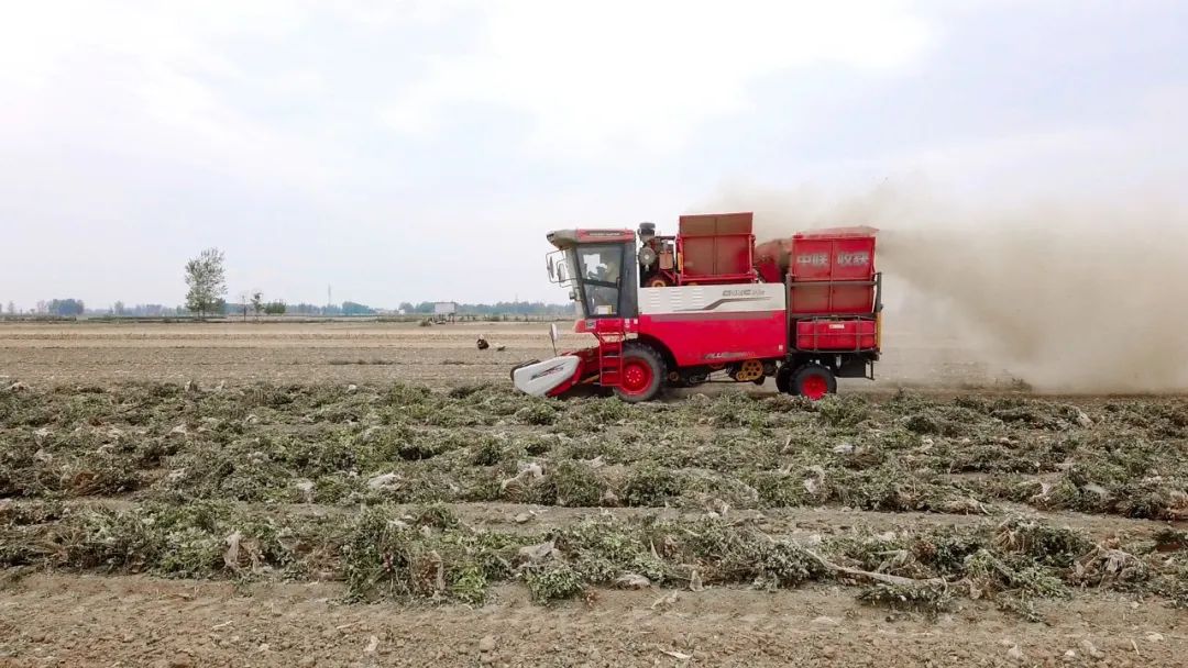 泰安東平呂新春:一小時作業(yè)十二畝 信賴中聯(lián)日進斗金 泰安東平呂新春:一小時作業(yè)十二畝 信賴中聯(lián)日進斗金(圖2)