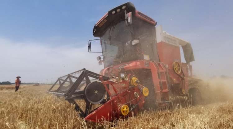 來(lái)自90后經(jīng)銷(xiāo)商的認(rèn)可：從小接觸新疆—2小麥機(jī)，對(duì)中聯(lián)收獲完全認(rèn)可(圖3)