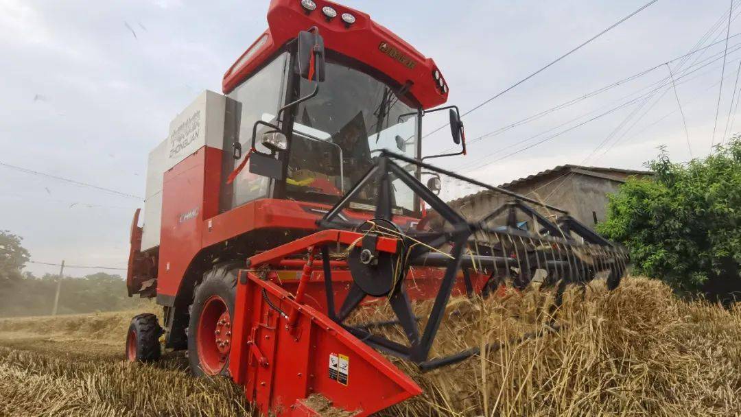 來自保定華師傅的認(rèn)可：從新疆-7到新疆-9，中聯(lián)收獲一直是我中意的品牌(圖2)