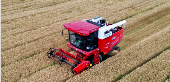 青島平度滿(mǎn)書(shū)山:“牛人”開(kāi)“牛車(chē)” 中聯(lián)收獲哪都好 640.png