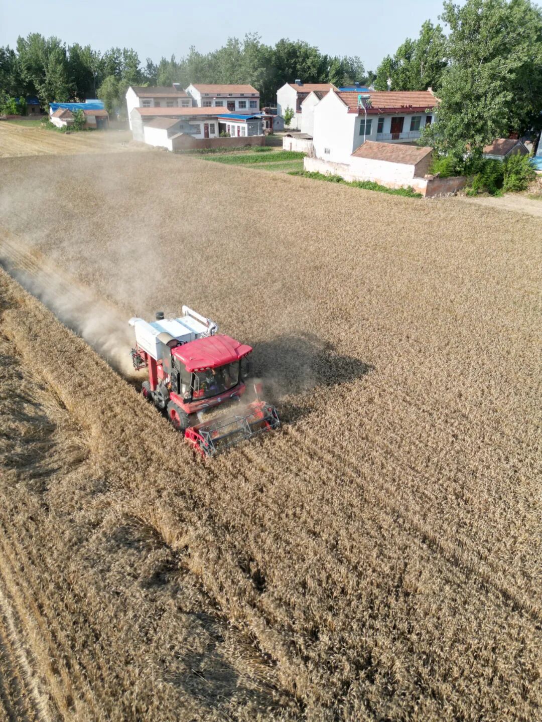 30年只做一件事:為什么越來越多農(nóng)機手認(rèn)準(zhǔn)「中聯(lián)收獲」?(圖6)