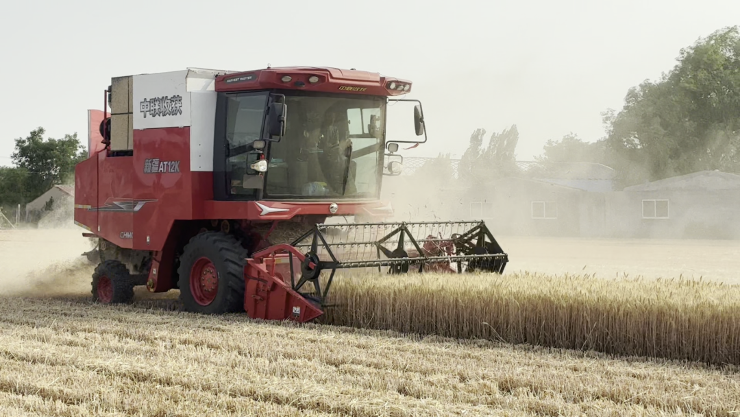 30年只做一件事:為什么越來越多農(nóng)機手認(rèn)準(zhǔn)「中聯(lián)收獲」?(圖8)